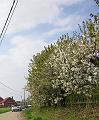 4de Nonkelfransrit (58)